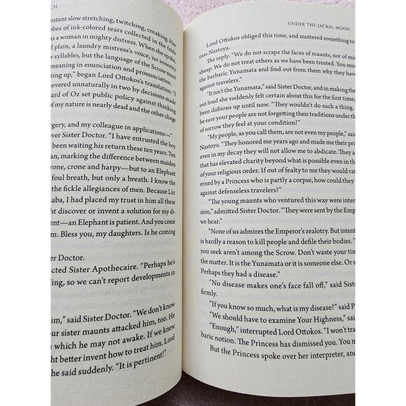 Son of a Witch : Volume Two in the Wicked Years by Gregory Maguire 2024, Trade - Picture 3 of 3